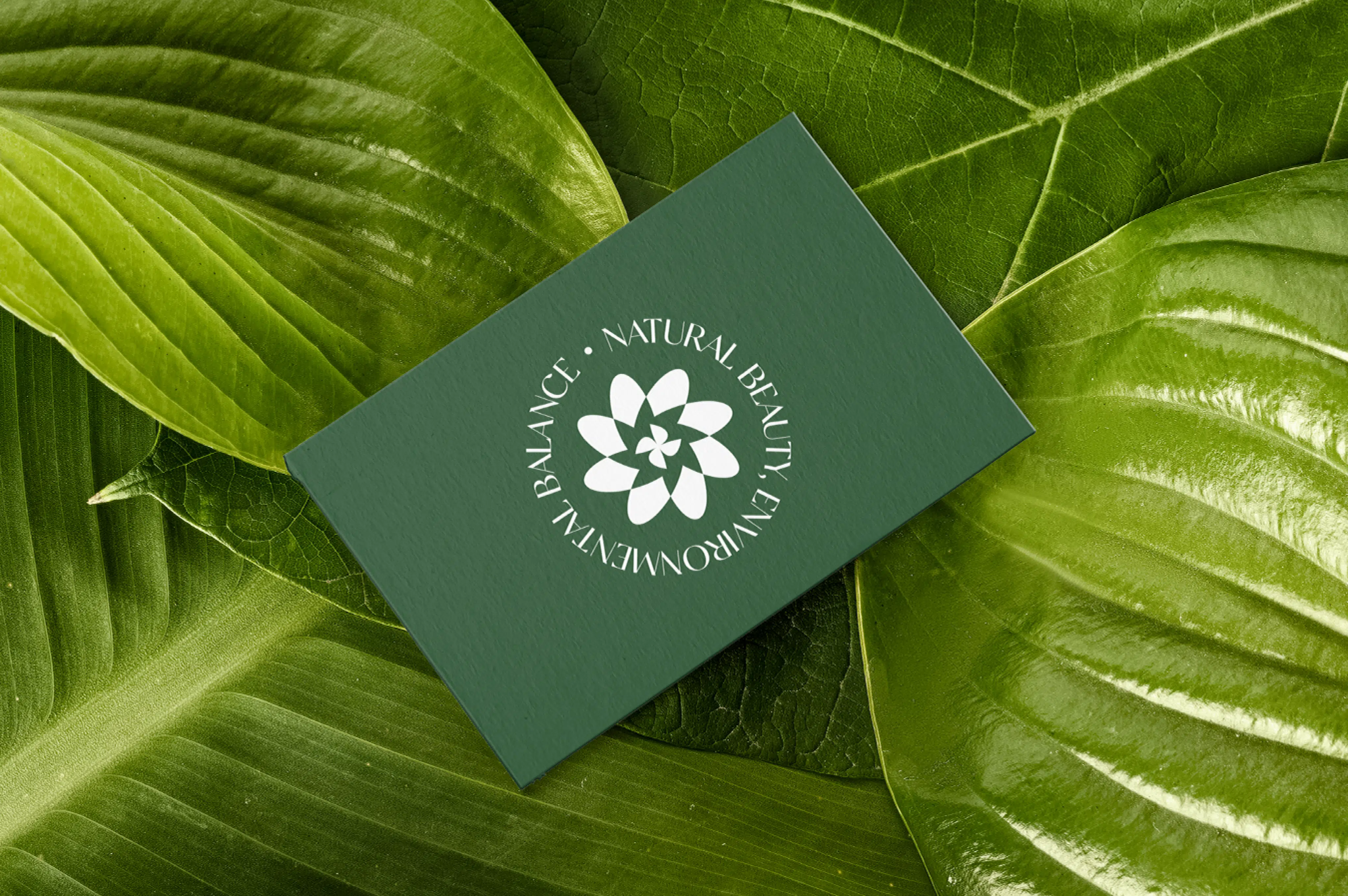 Tarjeta de visita del branding de EcoBloom Gardens con identidad visual natural y elegante