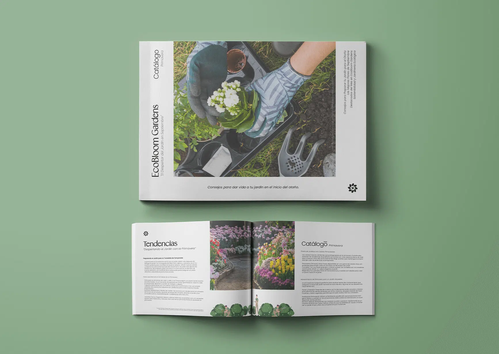 Maquetación de identidad visual de EcoBloom Gardens con elementos gráficos coherentes